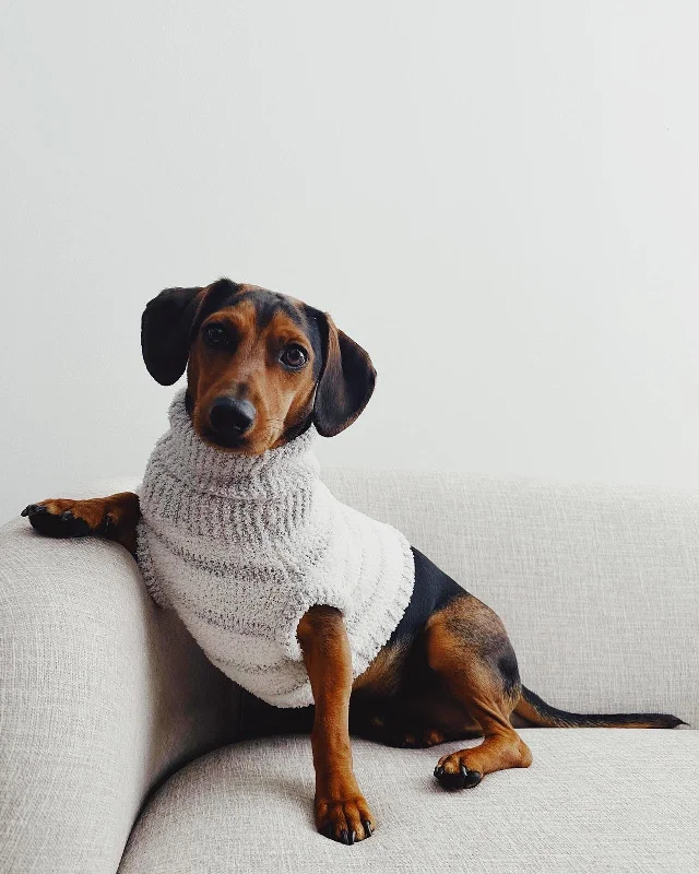 Fuzzy Pet Sweater Denim Fabric Leather Fabric Suede Fabric